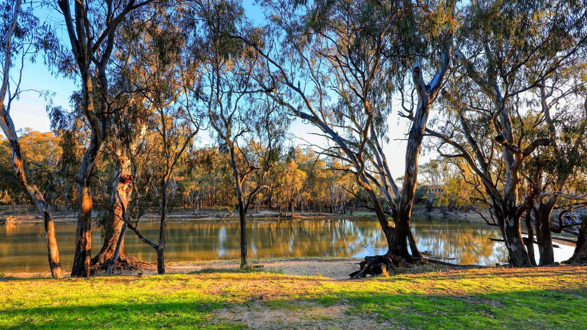 Deniliquin Riverside Caravan Park エクステリア 写真