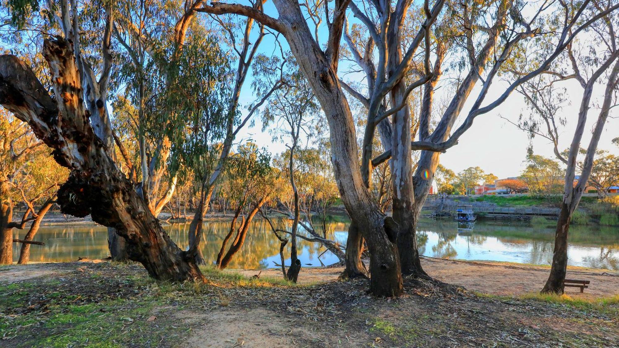 Deniliquin Riverside Caravan Park エクステリア 写真