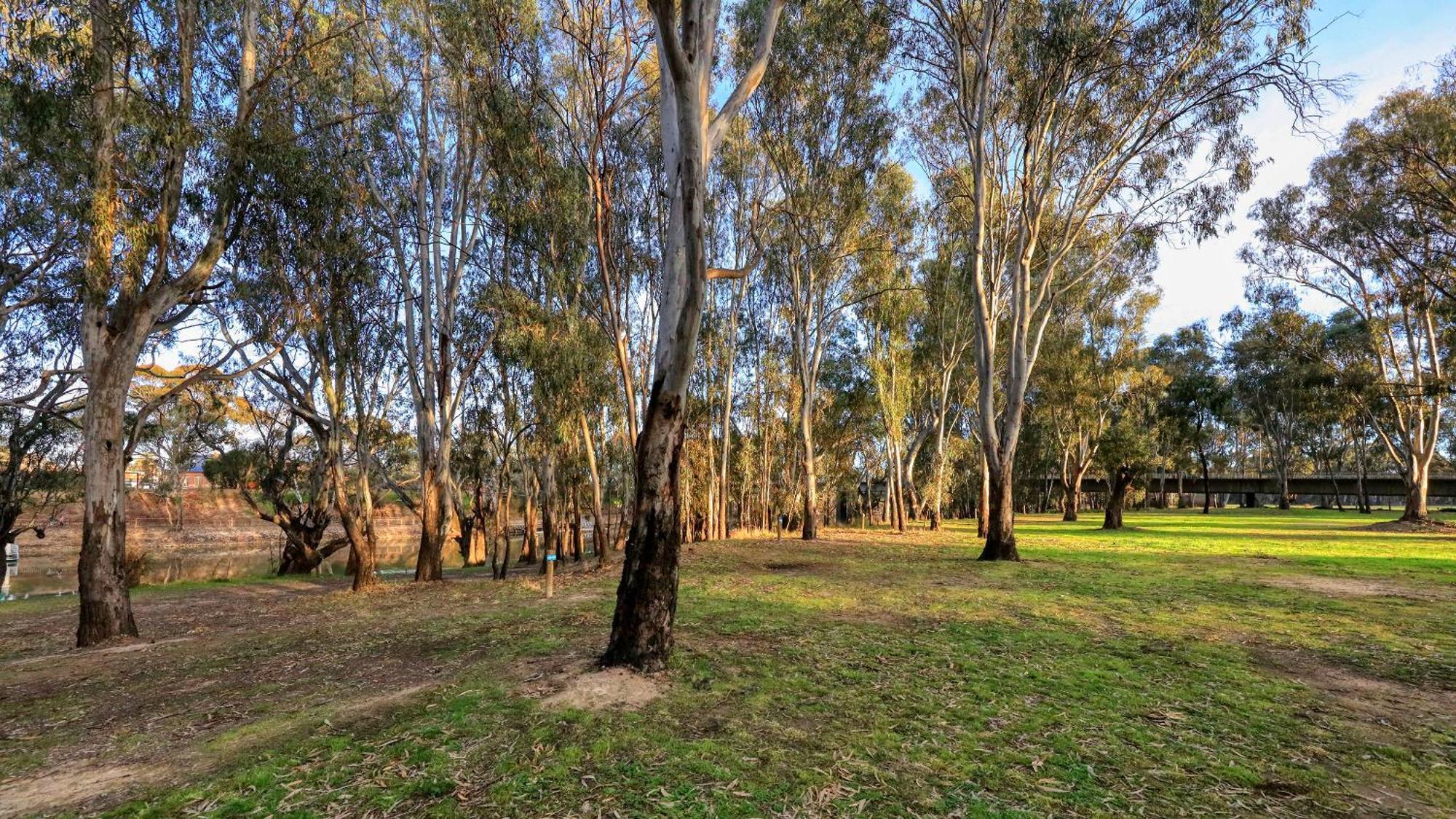 Deniliquin Riverside Caravan Park エクステリア 写真